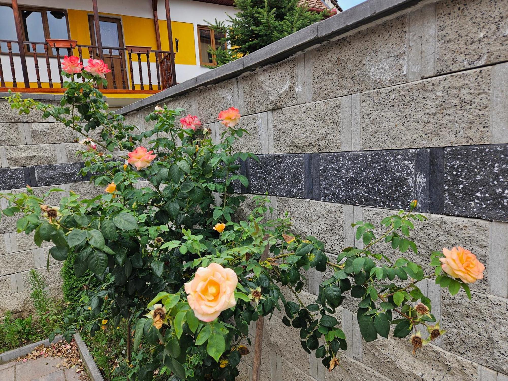 Aparthotel Casa Raduly Sibiu Exterior foto